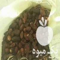 فروش غذای دام ضایعات خرما نان خشک در بندرعباس در گروه خرید فروش عمده خرما - کبکاب تازه زاهدی خشک خارک در یکمیوه