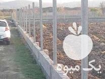 فروش فنس و تیرک بتنی پایه فنس بتنی پایه انگور در گرگان در گروه خرید فروش عمده انگور - یاقوتی شانی عسگری بی دانه قرمز در یکمیوه -عکس1