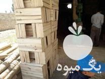 فروش ساخت جعبه های چوبی انگور سیاه هم منگنه کوب وهم میخی در مهاباد در گروه خرید فروش عمده انگور - یاقوتی شانی عسگری بی دانه قرمز در یکمیوه -عکس1