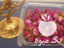 فروش عمده غنچه لاله زار ، آویشن ، پونه در تهران در گروه خرید فروش عمده گیاهان زینتی - گرمسیری آپارتمانی باغچه آب در یکمیوه -عکس1