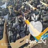 فروش ذغال انگور در بوئین زهرا در گروه خرید فروش عمده چوب- زغال چوب گردو تبریزی خام در یکمیوه