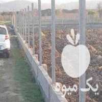 فروش فنس و تیرک بتنی پایه فنس بتنی پایه انگور در گرگان در گروه خرید فروش عمده انگور - یاقوتی شانی عسگری بی دانه قرمز در یکمیوه