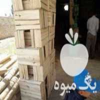 فروش ساخت جعبه های چوبی انگور سیاه هم منگنه کوب وهم میخی در مهاباد در گروه خرید فروش عمده انگور - یاقوتی شانی عسگری بی دانه قرمز در یکمیوه