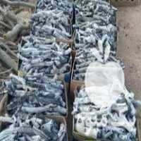 فروش زغال پسته سیاه و سفید در زیباشهر در گروه خرید فروش عمده چوب- زغال چوب گردو تبریزی خام در یکمیوه