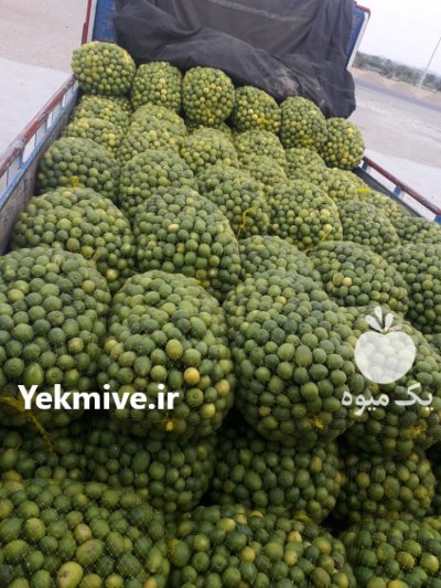 لیمو ترش در شیراز در گروه خرید فروش عمده لیمو ترش - شیرازی باریج سنگی در یکمیوه