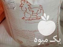 فروش خوراک دام وطیور در رودسر در گروه مرغ و خروس و بوقلمون و اردک قو قاز در یکمیوه -عکس1