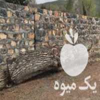 فروش اسلب چوب گردو خشک در تهران در گروه خرید فروش عمده چوب- زغال چوب گردو تبریزی خام در یکمیوه