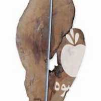 فروش اسلایس گردبینه چوب گردو قطر 1 متر در رشت در گروه خرید فروش عمده چوب- زغال چوب گردو تبریزی خام در یکمیوه