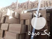 فروش جعبه انگور سیاه در سقز در گروه خرید فروش عمده انگور - یاقوتی شانی عسگری بی دانه قرمز در یکمیوه -عکس1