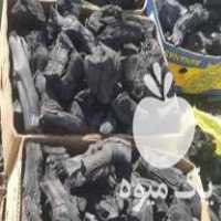 فروش ذغال انگور در شال در گروه خرید فروش عمده چوب- زغال چوب گردو تبریزی خام در یکمیوه