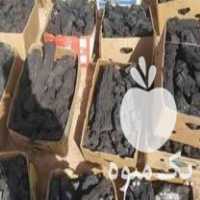 فروش ذغال انگور شال در قزوین در گروه خرید فروش عمده چوب- زغال چوب گردو تبریزی خام در یکمیوه