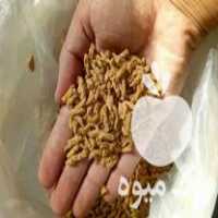 فروش عمده و خرده سویا در تهران در گروه خرید فروش عمده سویا - خوراکی تیم اسپانیول روغن در یکمیوه