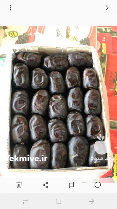 تامین خرما مضافتی کیفیت عالی در کرمان  در گروه خرید فروش عمده خرما - کبکاب تازه زاهدی خشک خارک در یکمیوه
