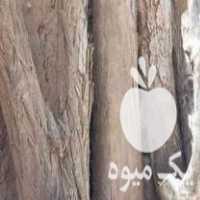 فروش چوب توت و اقاقیا در نیشابور در گروه خرید فروش عمده چوب- زغال چوب گردو تبریزی خام در یکمیوه