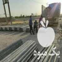 فروش پایه فنس بتنی پایه بتنی ستون سیمانی تیرچه باغی تیربتنی تیرک در اقبالیه در گروه خرید فروش عمده کیوی - صادراتی مازندران تنکابن تالش در یکمیوه