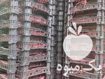 فروش سبد و جعبه هلو تک ردیفه در نیشابور در گروه خرید فروش انواع سبد - میوه پلاستیکی چوبی گل در یکمیوه -عکس1