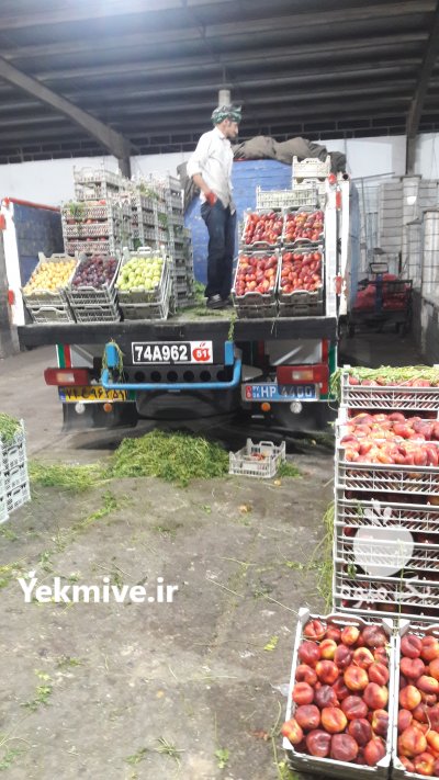 بارفروشی و حق العمل کاری مهرداد ولی زاده در اهواز در گروه حق العمل کاری محصولات کشاورزی و دامداری خدمات کارمزد در یکمیوه -عکس3