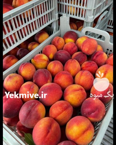 به چند باربارکن نیازمندیم در اهواز