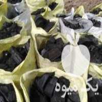 فروش زغال گلابی در اصفهان در گروه خرید فروش عمده چوب- زغال چوب گردو تبریزی خام در یکمیوه