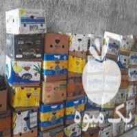 فروش زغال کبابی خوبو در خشت در گروه خرید فروش عمده چوب- زغال چوب گردو تبریزی خام در یکمیوه