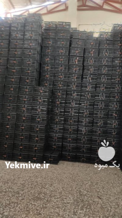 سبد پلاستیکی میوه در اصفهان در گروه خرید فروش انواع سبد - میوه پلاستیکی چوبی گل در یکمیوه -عکس1