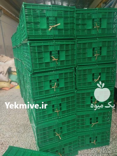 سبد پلاستیکی میوه در اصفهان در گروه خرید فروش انواع سبد - میوه پلاستیکی چوبی گل در یکمیوه