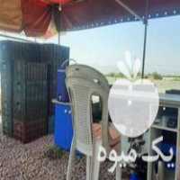 خرید و فروش میوه های تابستانی شریفی میرشکارلو در ارومیه در گروه خرید فروش عمده شلیل - شمس شبرنگ مغان انجیری سبز رفعتی در یکمیوه