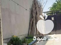 فروش هاچه باغچه سیب گردو در ارومیه در گروه خرید فروش عمده سیب - زرد و قرمز گلاب پاییزه در یکمیوه -عکس1