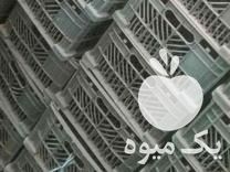 فروش سبد میوه در حد صفر در بوکان در گروه خرید فروش انواع سبد - میوه پلاستیکی چوبی گل در یکمیوه -عکس1