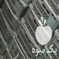 فروش سبد میوه در حد صفر در بوکان در گروه خرید فروش انواع سبد - میوه پلاستیکی چوبی گل در یکمیوه
