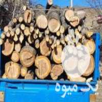 خرید انواع درختان و چوب کهنه در اردبیل در گروه خرید فروش عمده چوب- زغال چوب گردو تبریزی خام در یکمیوه