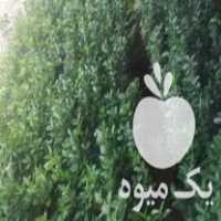 فروش گل‌های بیرونی در تنکابن در گروه خرید فروش عمده گیاهان زینتی - گرمسیری آپارتمانی باغچه آب در یکمیوه