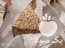 فروش پوست پسته خام در فیروزان در گروه پسته - کوهی شامی خام اکبری تازه کله قوچی در یکمیوه -عکس1