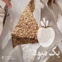 فروش پوست پسته خام در فیروزان در گروه پسته - کوهی شامی خام اکبری تازه کله قوچی در یکمیوه