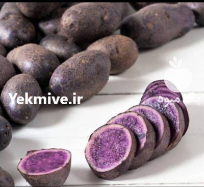 سیب زمینی بنفش در اردبیل در گروه خرید فروش عمده سیب زمینی - زودرس دیررس آگریا اسپریت اردبیل همدان در یکمیوه -عکس2