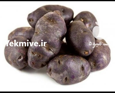 سیب زمینی بنفش در اردبیل در گروه خرید فروش عمده سیب زمینی - زودرس دیررس آگریا اسپریت اردبیل همدان در یکمیوه -عکس1