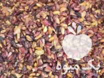 فروش دانه انار خشک در مشهد در گروه خرید فروش عمده انار - ساوه شیراز شیرین ترش در یکمیوه -عکس1