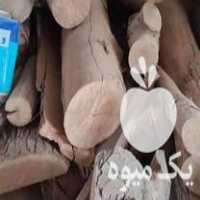 فروش چوب گردو مغز سیاه در مشهد در گروه خرید فروش عمده چوب- زغال چوب گردو تبریزی خام در یکمیوه
