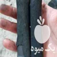 فروش انواع زغال قلیانی و کبابی با بهترین چوب مرکبات درجه یک در بهشهر در گروه خرید فروش عمده چوب- زغال چوب گردو تبریزی خام در یکمیوه