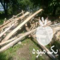 فروش چوب وهیزم وتخته در لنگرود در گروه خرید فروش عمده چوب- زغال چوب گردو تبریزی خام در یکمیوه