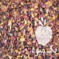 فروش دانه انار خشک در مشهد در گروه خرید فروش عمده انار - ساوه شیراز شیرین ترش در یکمیوه