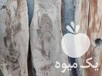 فروش چوب گردو بصورت کالباسی و اسلب در درود در گروه خرید فروش عمده چوب- زغال چوب گردو تبریزی خام در یکمیوه -عکس1