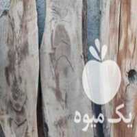 فروش چوب گردو بصورت کالباسی و اسلب در درود در گروه خرید فروش عمده چوب- زغال چوب گردو تبریزی خام در یکمیوه