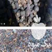 خریدار خرمای خشک دامی یا کده وتفاله وهسته خرما در کرمان  در گروه خوراک دام و طیور - پرواری شیری علوفه یونجه در یکمیوه