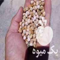 فروش بذر شبدر ایرانی هفت چین بومی و نخود بومی تمیز و پاک در جونقان در گروه خرید فروش بذر - انواع محصول کشاورزی گوجه کتان میوه درخت در یکمیوه