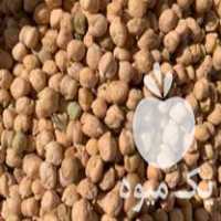 فروش بذر نخود آبگوشتی رقم هاشم تناژ بالا تا 3 تن در منطقه گنبد در لاهیجان در گروه خرید فروش بذر - انواع محصول کشاورزی گوجه کتان میوه درخت در یکمیوه