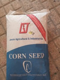 فروش انواع بذر چغندر و ذرت در اصفهان در گروه خرید فروش بذر - انواع محصول کشاورزی گوجه کتان میوه درخت در یکمیوه