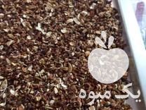 فروش مغز ریز پسته موشو در رفسنجان در گروه پسته - کوهی شامی خام اکبری تازه کله قوچی در یکمیوه -عکس1