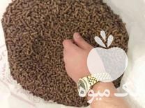 فروش خوراک ماهی پلت اکسترود در آبیک در گروه خوراک شیلات و آبزیان - ماهی گیلان خوزستان چابهار بوشهر در یکمیوه -عکس1