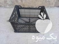 فروش سبد میوه گوجه در شال در گروه خرید فروش انواع سبد - میوه پلاستیکی چوبی گل در یکمیوه -عکس1